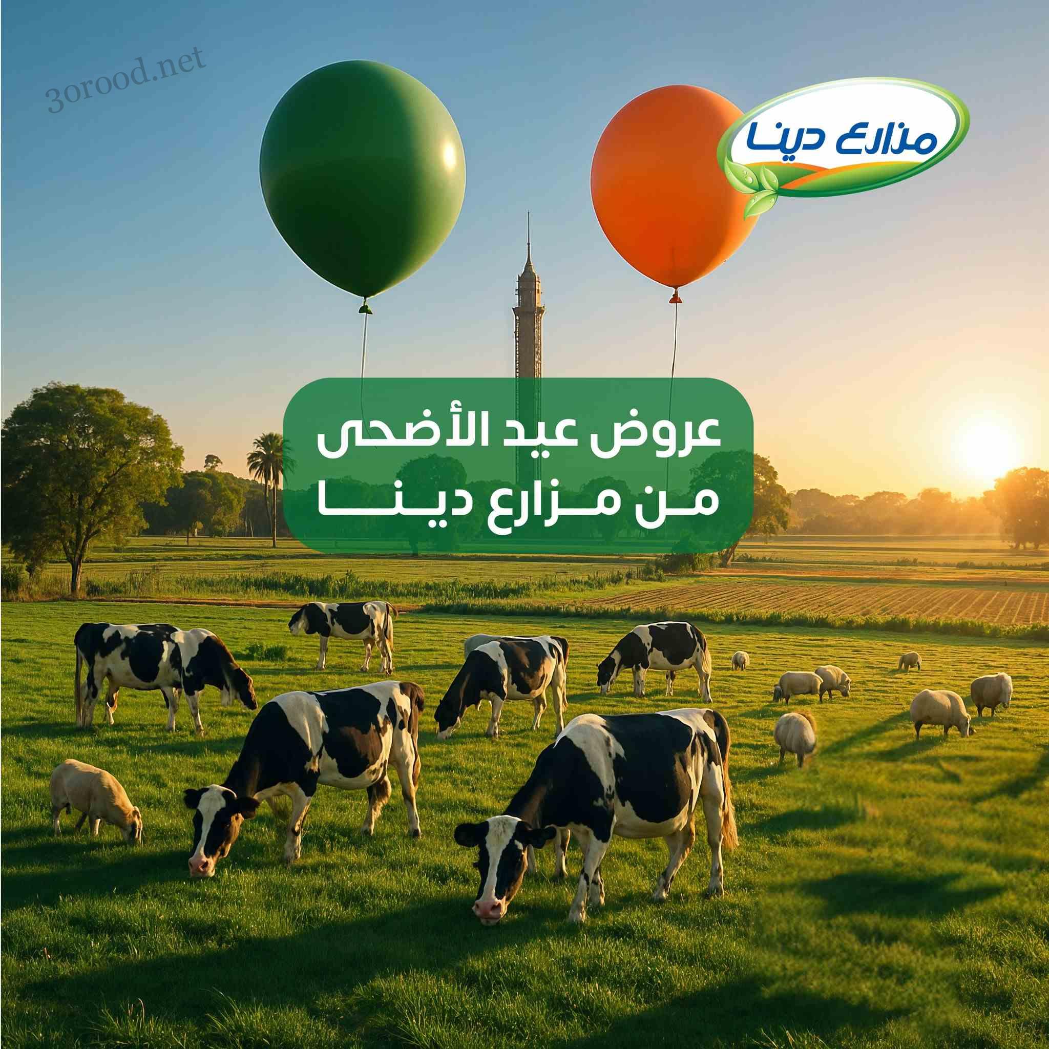 عروض مزارع دينا من 25 مايو حتى 5 يونيو 2025 عرض عيد الاضحى