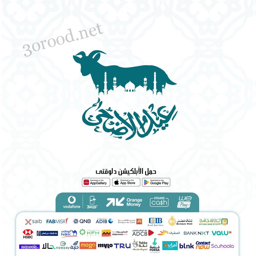 عروض دريم 2000 للموبايلات من 1 يونيو 2025 حتى نفاذ الكمية عروض عيد الاضحى