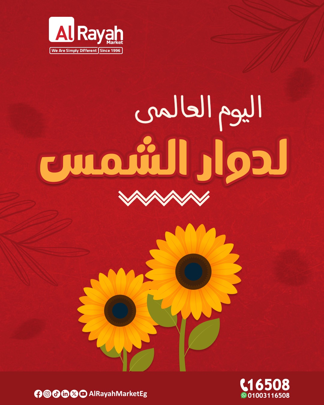 عروض الراية ماركت من 3 اغسطس حتى 11 اغسطس 2025 اليوم العالمى لدوار الشمس