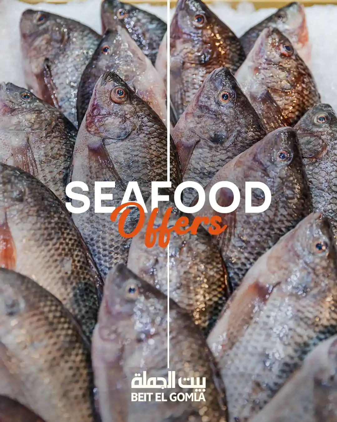 عروض بيت الجملة اليوم الثلاثاء 4 نوفمبر 2025 عروض الاسماك