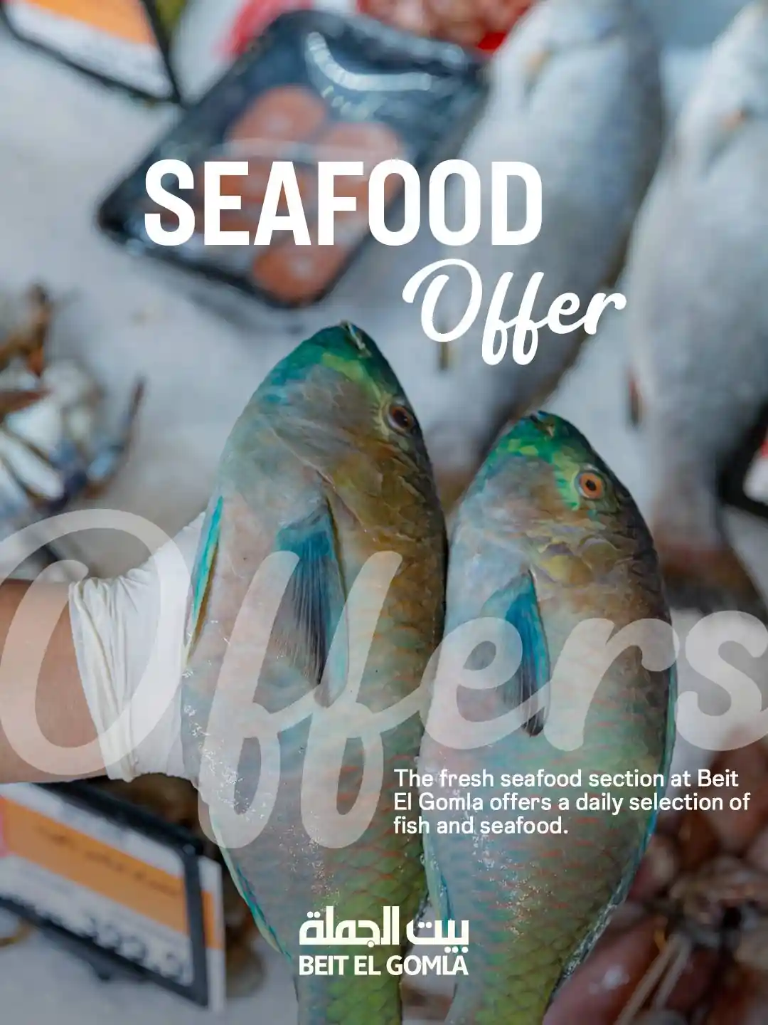 عروض بيت الجملة اليوم الثلاثاء 20 يناير 2026 عروض الاسماك