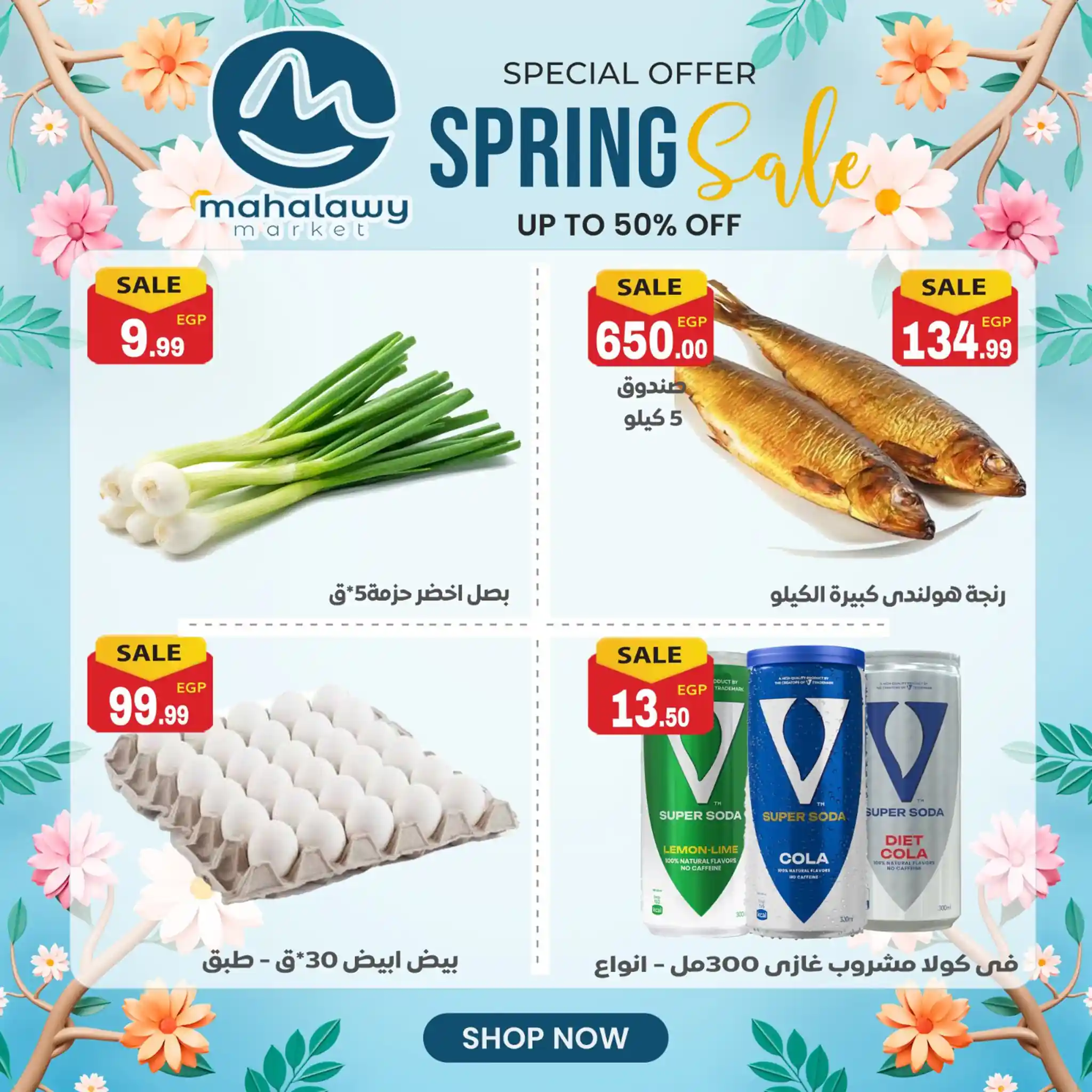 عروض اولاد المحلاوى اليوم 14 ابريل 2026 عروض الربيع