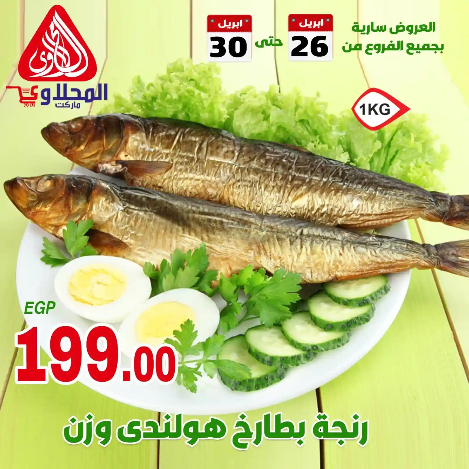 رنجة بطارخ هولندى