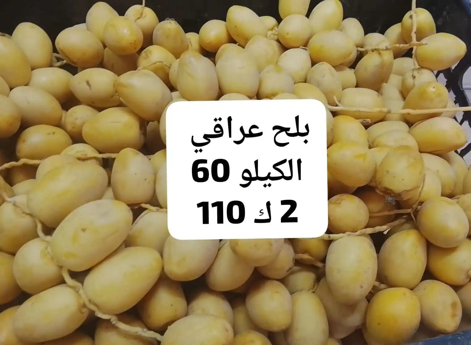 عروض اسواق مصر المنيا من 28 سبتمبر 2026 مهرجان الخضار و الفاكهة