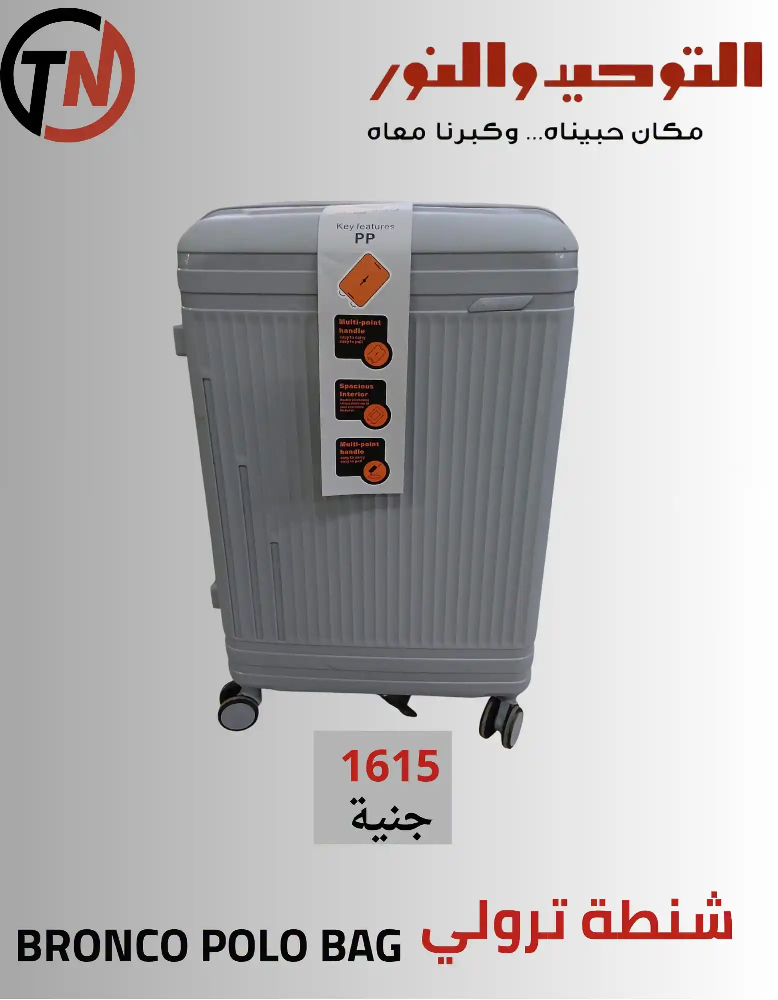 عروض التوحيد والنور اليوم صفحة 2