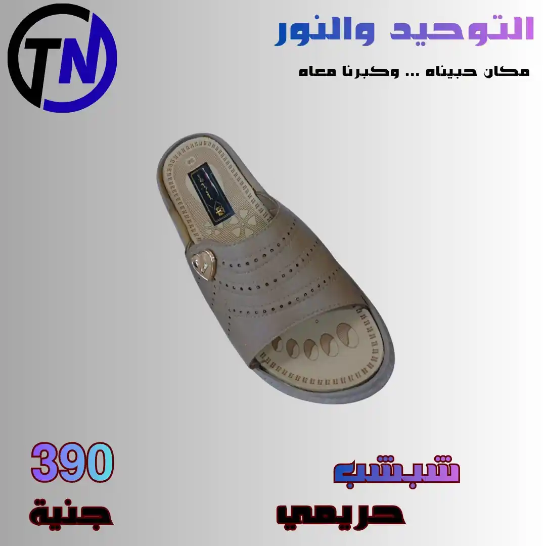 عروض التوحيد والنور اليوم صفحة 2