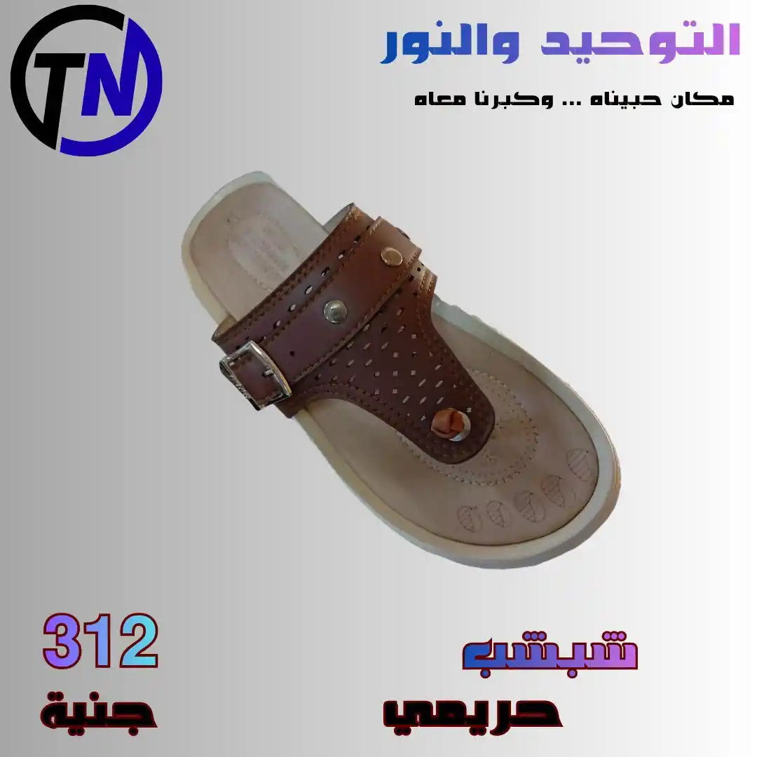 عروض التوحيد والنور اليوم صفحة 3