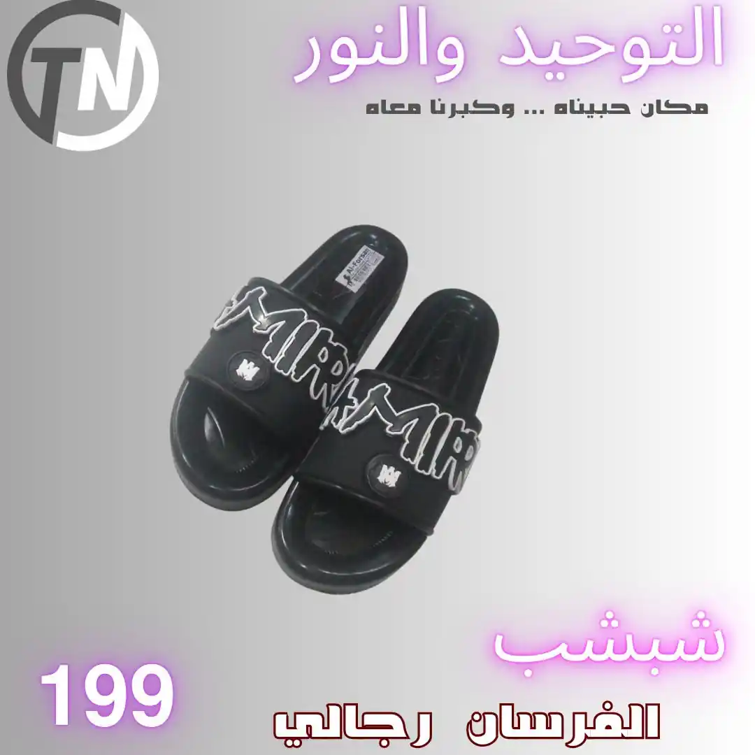 عروض التوحيد والنور 2026 الصفحة رقم 3