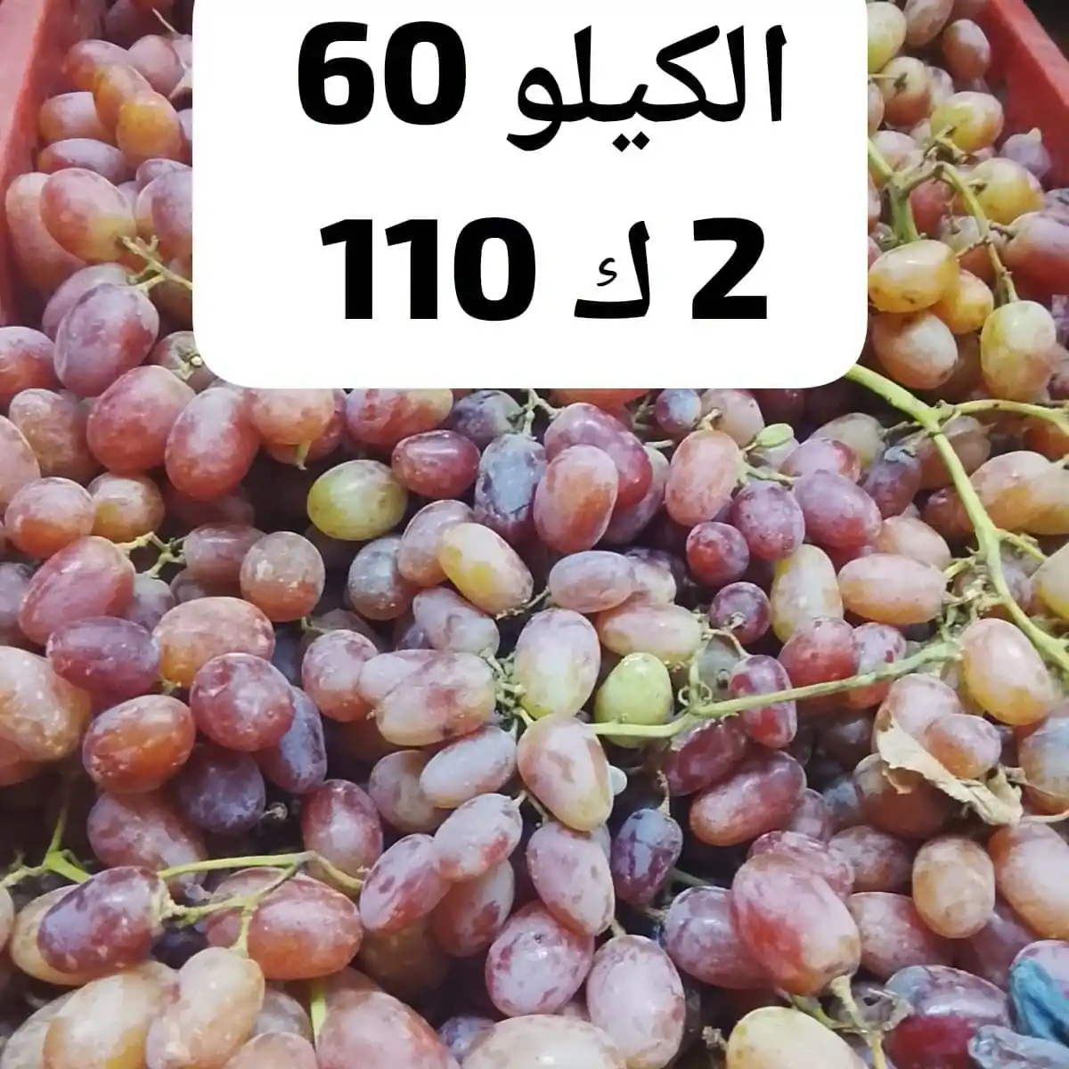 عروض اسواق مصر الصفحة رقم 4