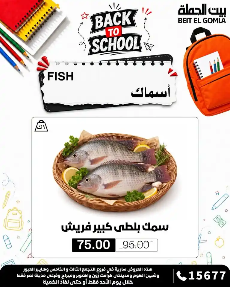 عروض بيت الجملة اليوم صفحة 5