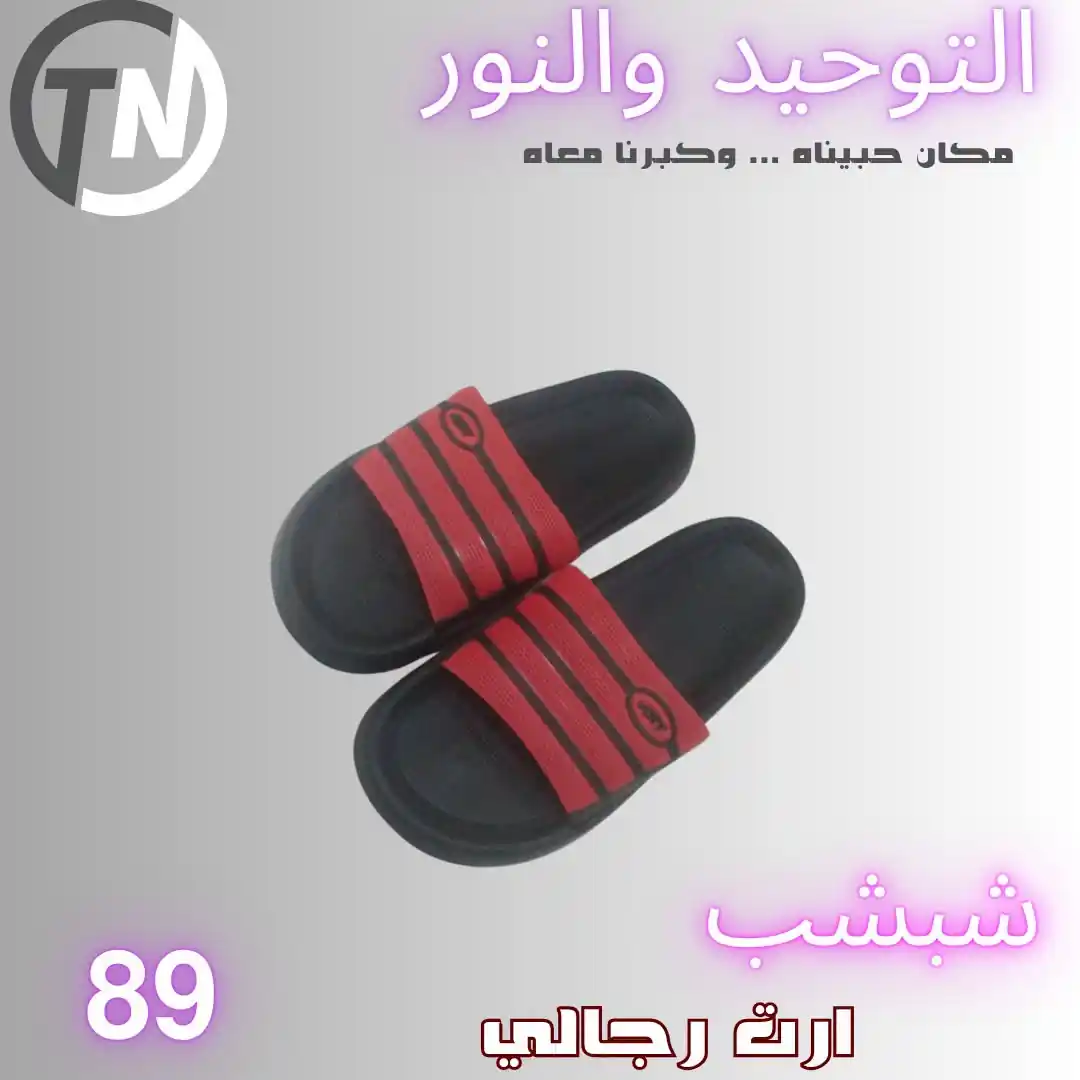 عروض التوحيد والنور اليوم صفحة 5