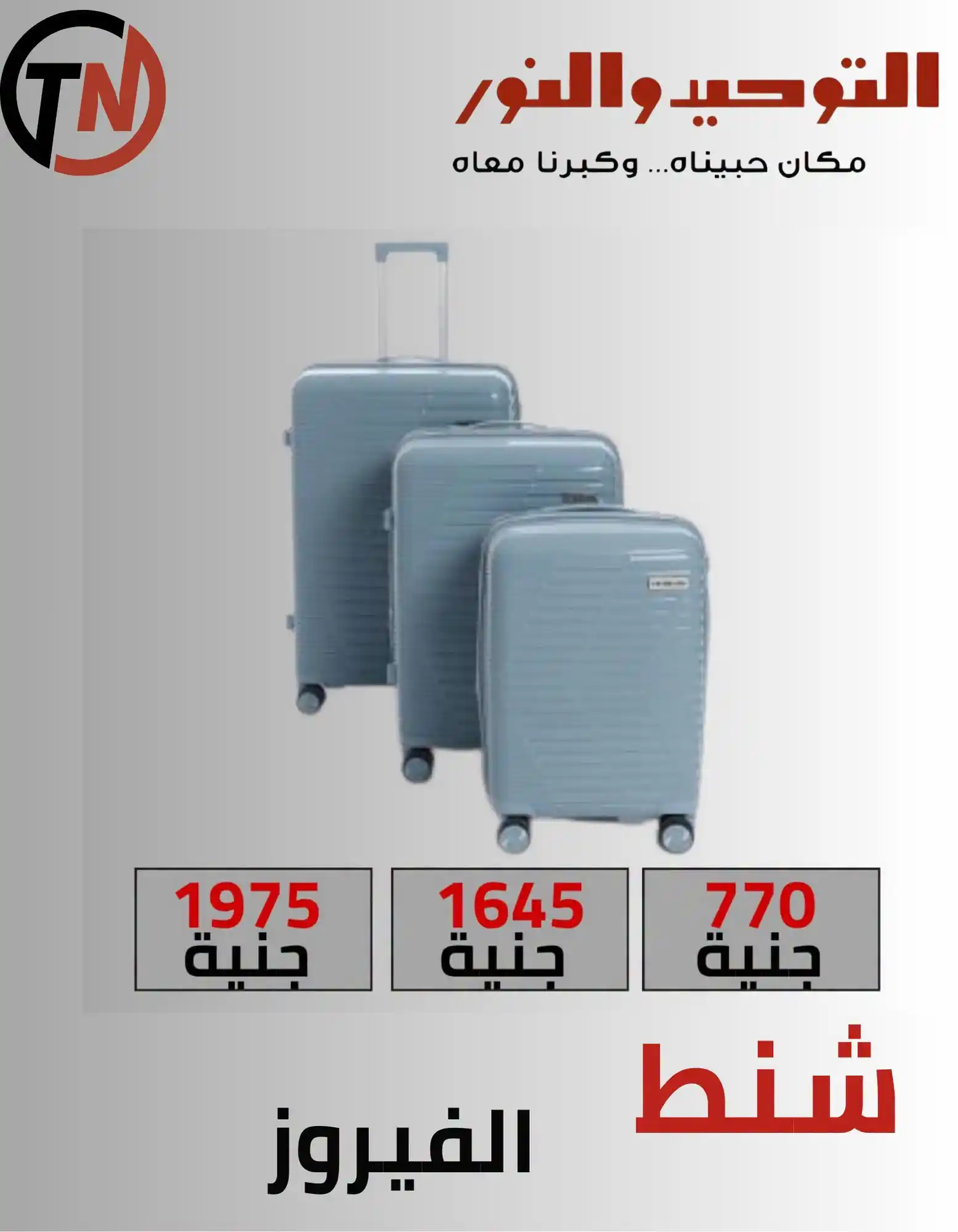 عروض التوحيد والنور اليوم صفحة 6