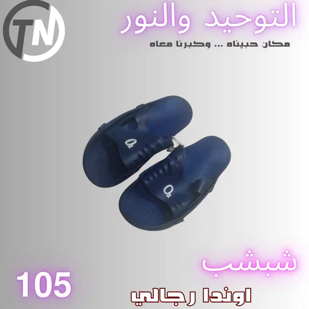 عروض التوحيد والنور اليوم صفحة 6