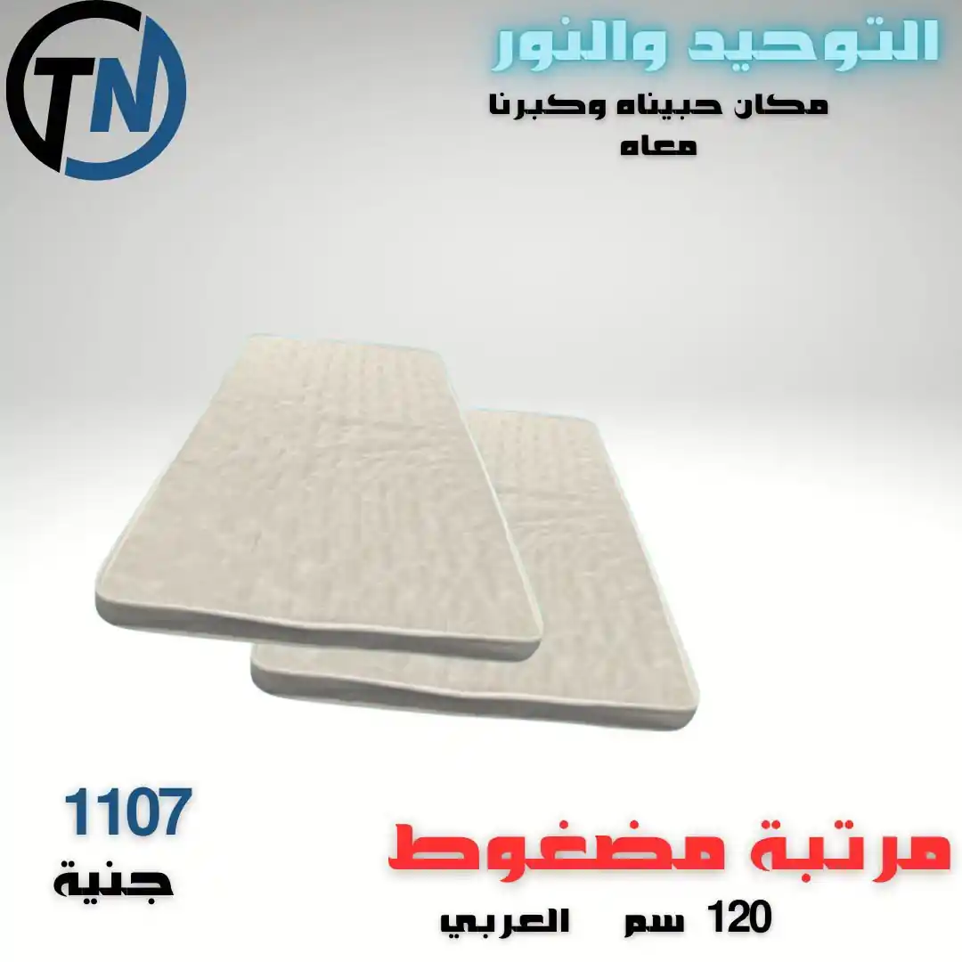 عروض التوحيد والنور اليوم صفحة 7