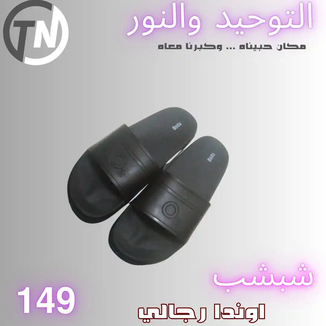 عروض التوحيد والنور اليوم صفحة 7