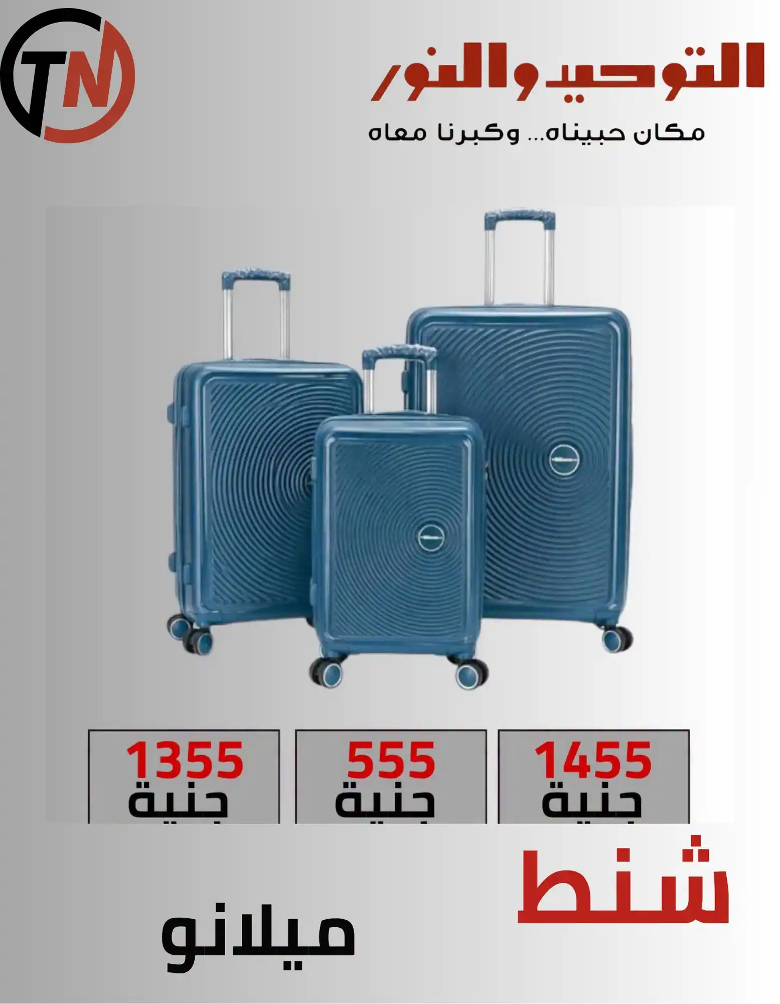 عروض التوحيد والنور اليوم صفحة 8