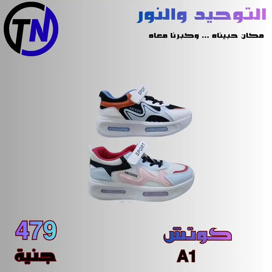 عروض التوحيد والنور اليوم صفحة 8