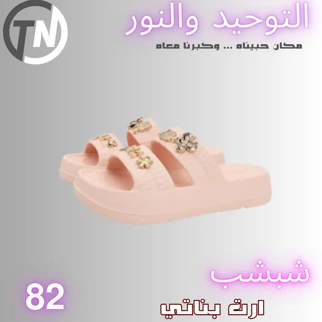 عروض التوحيد والنور اليوم صفحة 8