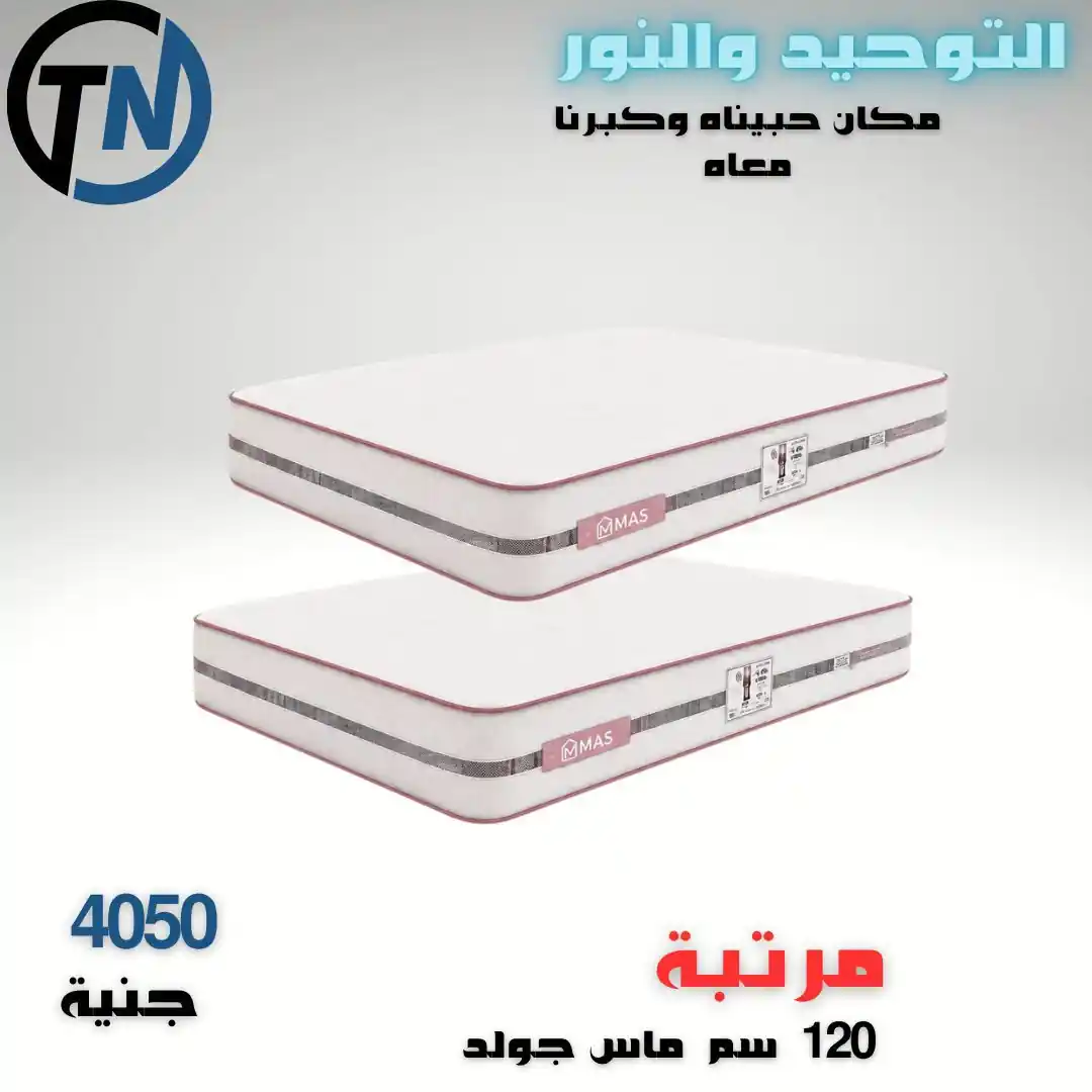 عروض التوحيد والنور اليوم صفحة 9