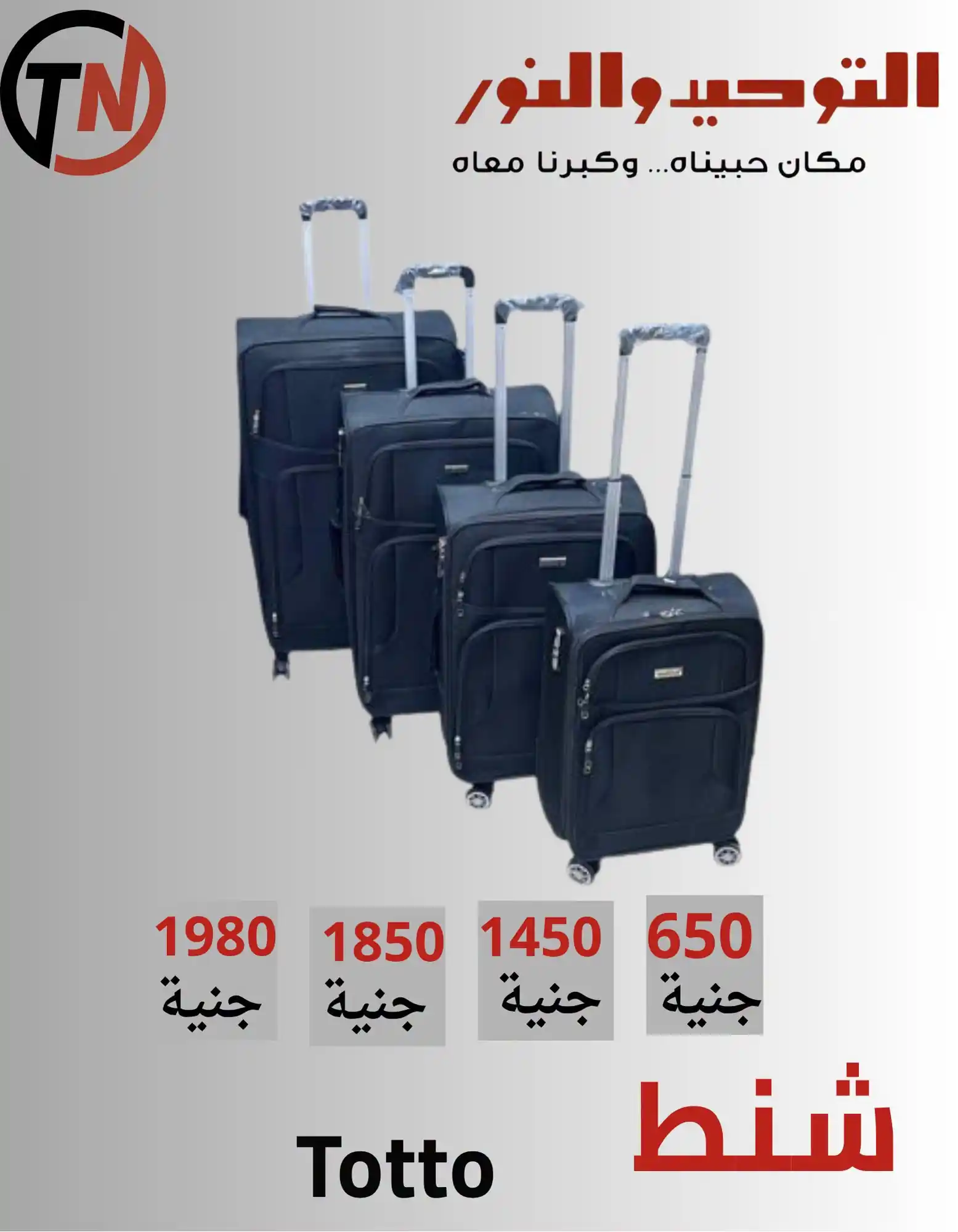 عروض التوحيد والنور اليوم صفحة 9