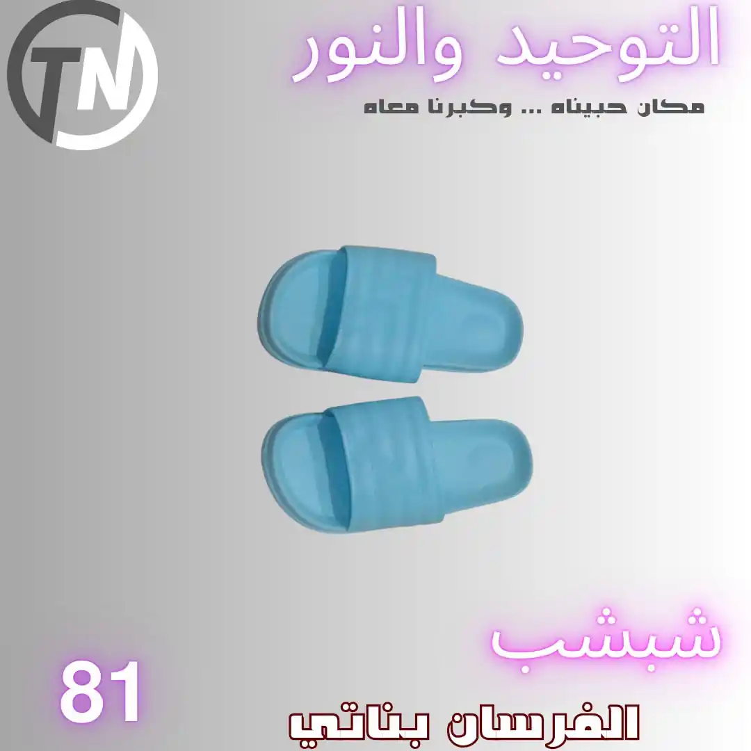 عروض التوحيد والنور اليوم صفحة 9