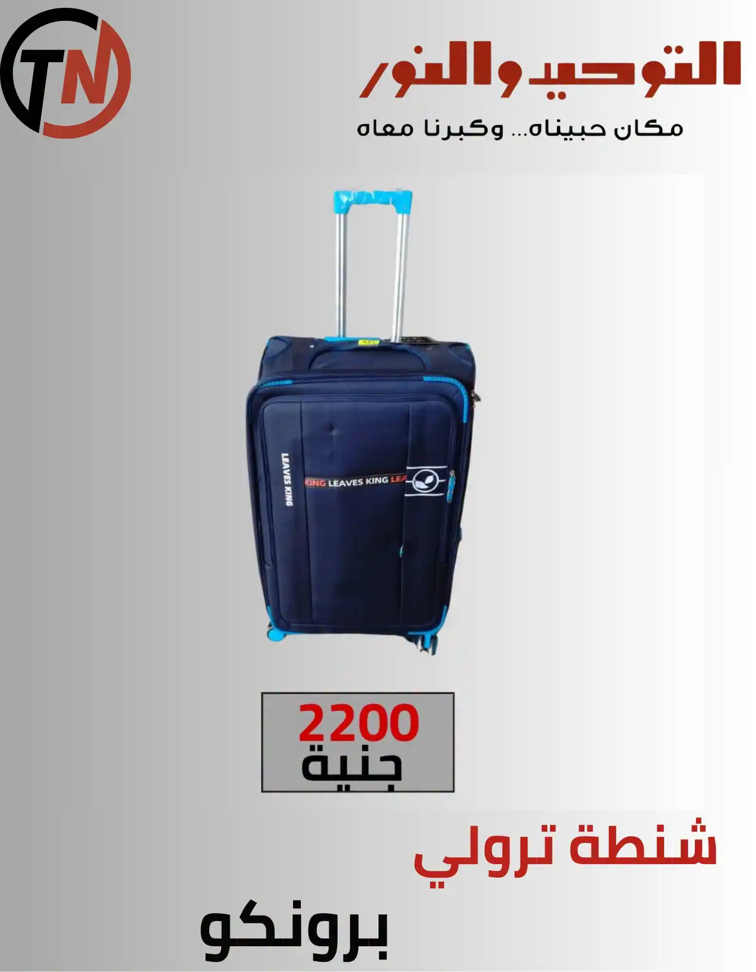 عروض التوحيد والنور اليوم صفحة 10
