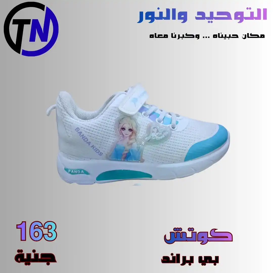عروض التوحيد والنور اليوم صفحة 10