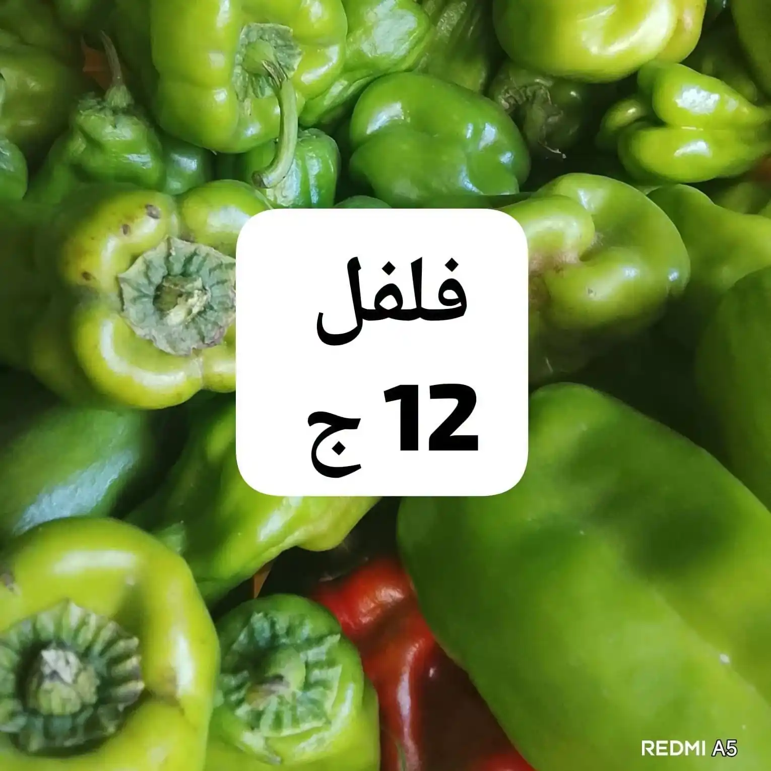 عروض اسواق مصر الصفحة رقم 10