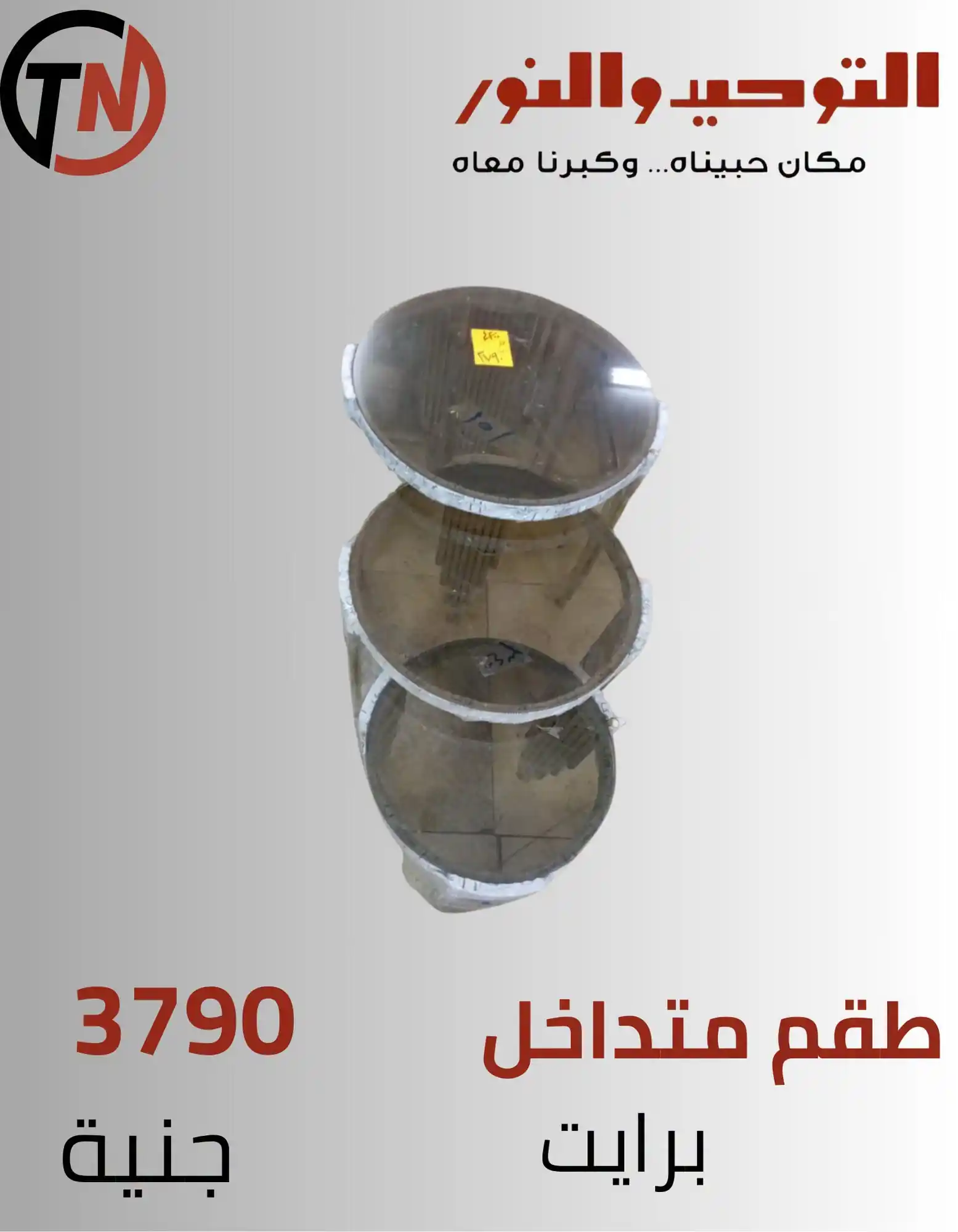 عروض التوحيد والنور اليوم صفحة 11