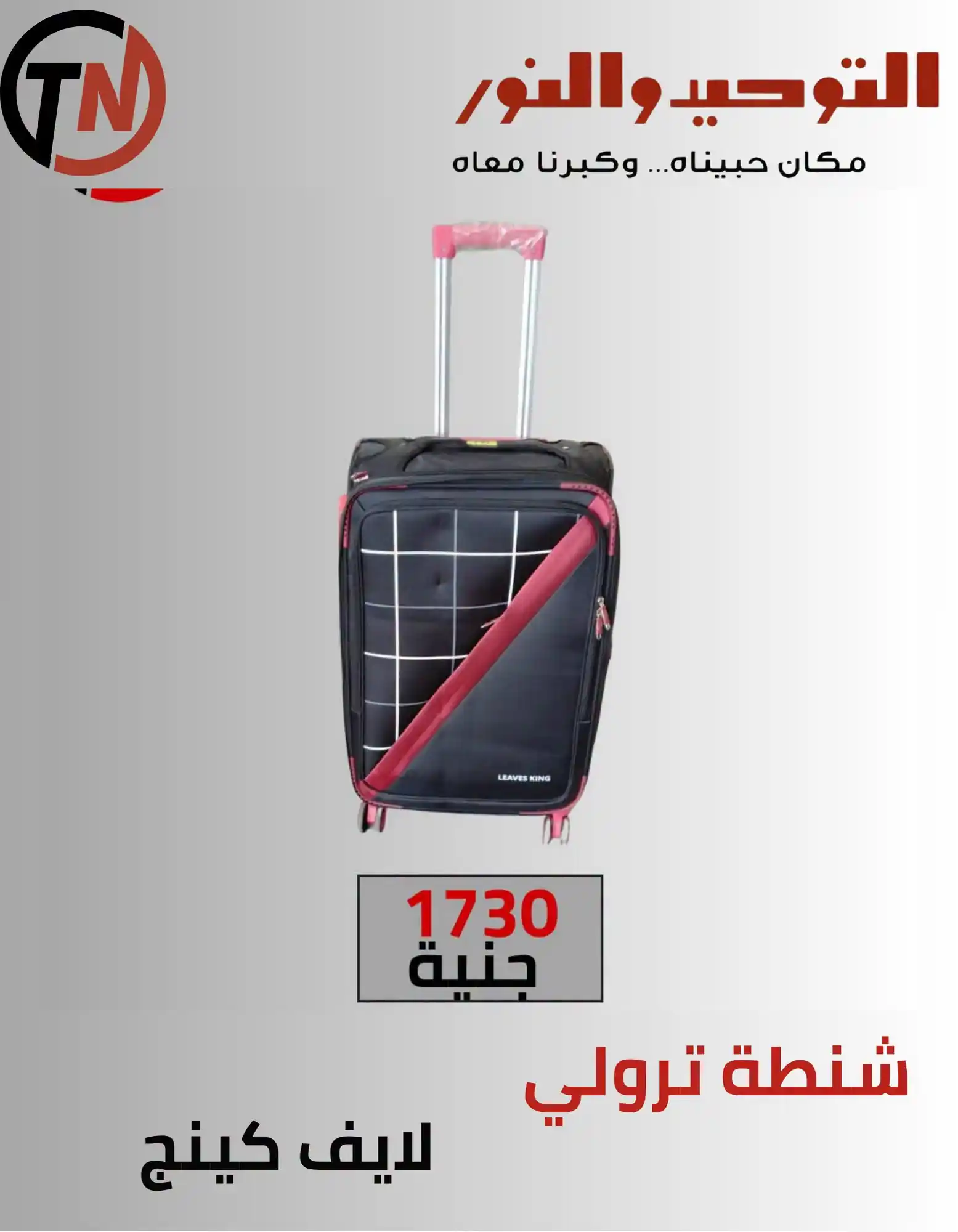 عروض التوحيد والنور اليوم صفحة 11