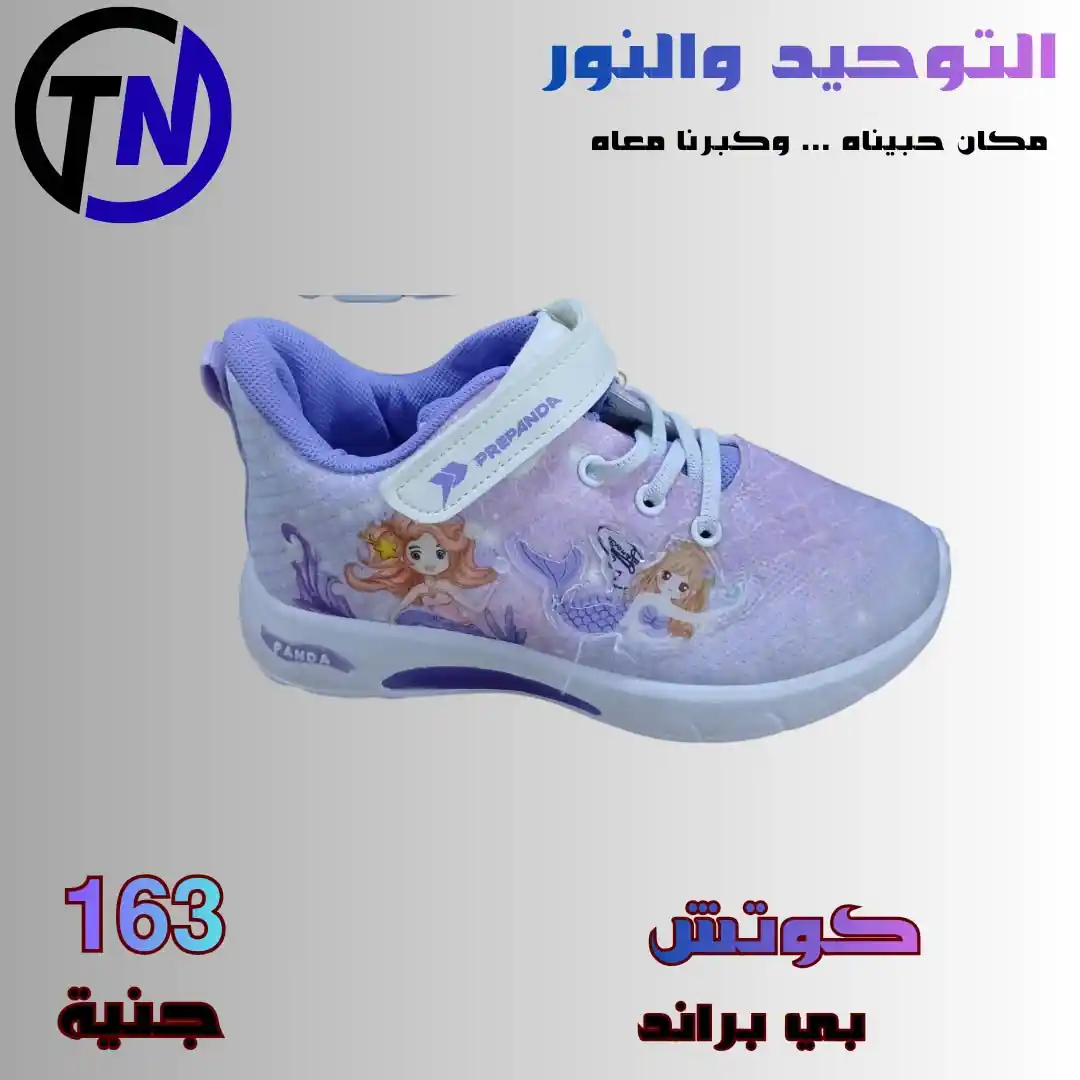 عروض التوحيد والنور اليوم صفحة 11