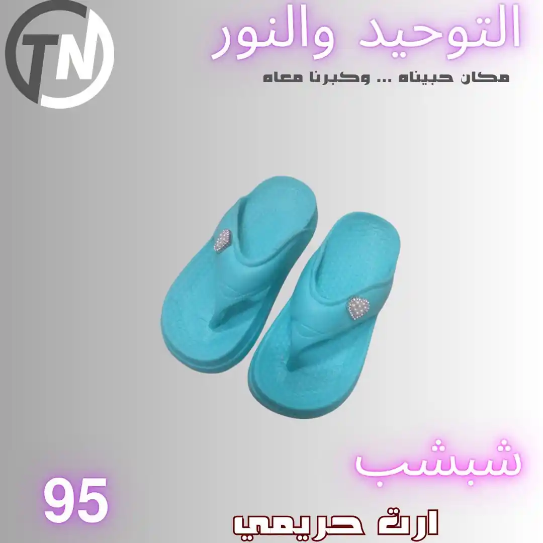عروض التوحيد والنور اليوم صفحة 11