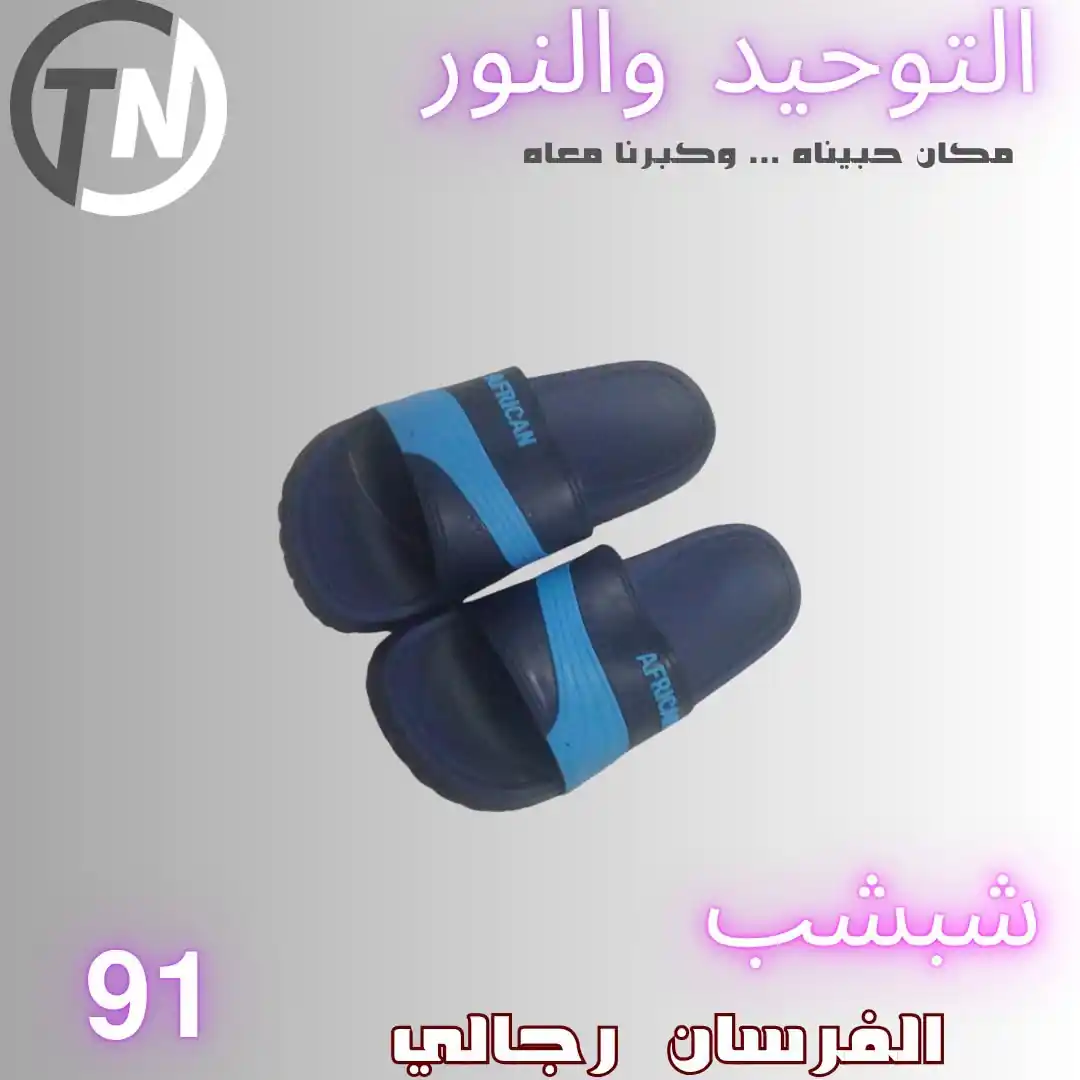 عروض التوحيد والنور اليوم صفحة 12