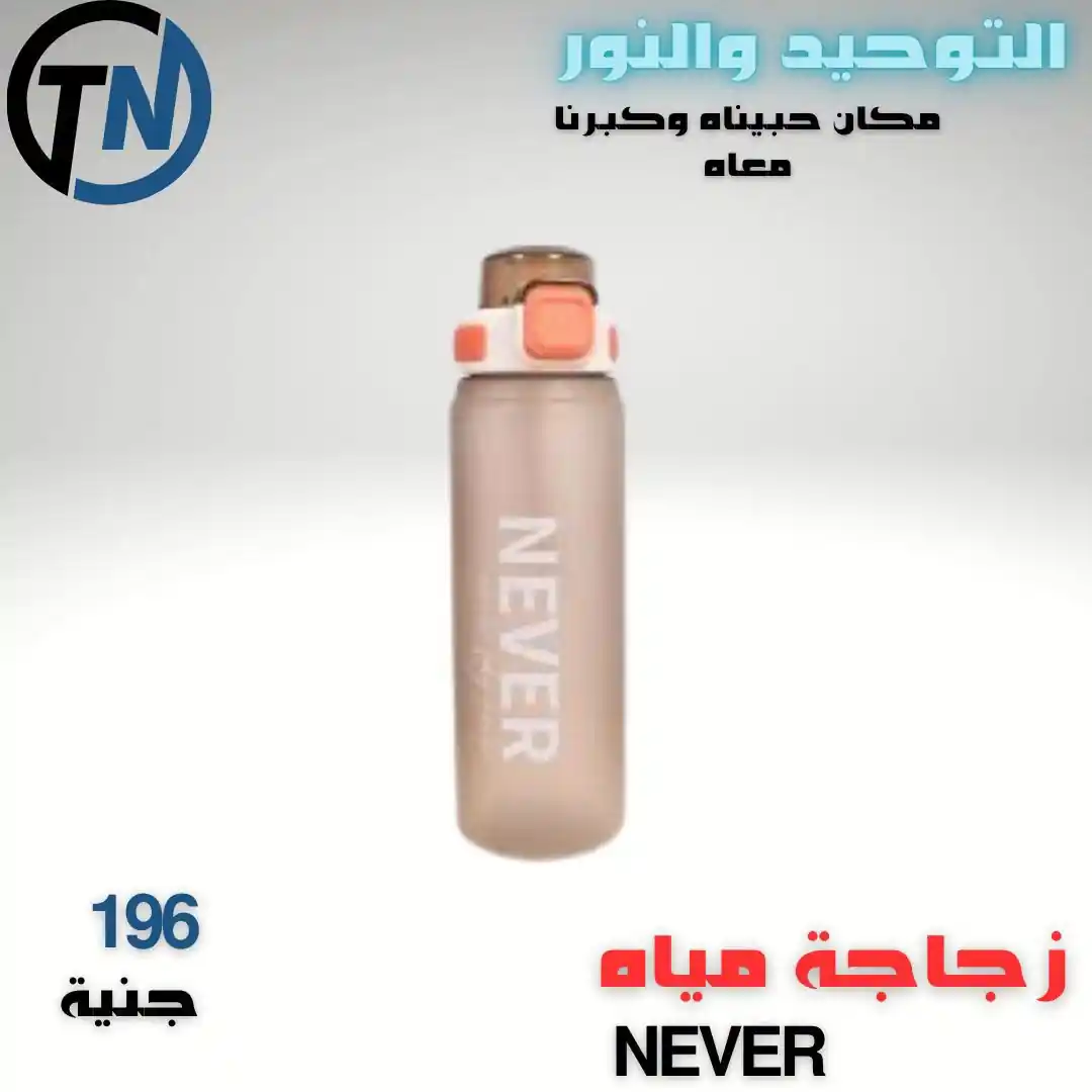 عروض التوحيد والنور اليوم صفحة 13