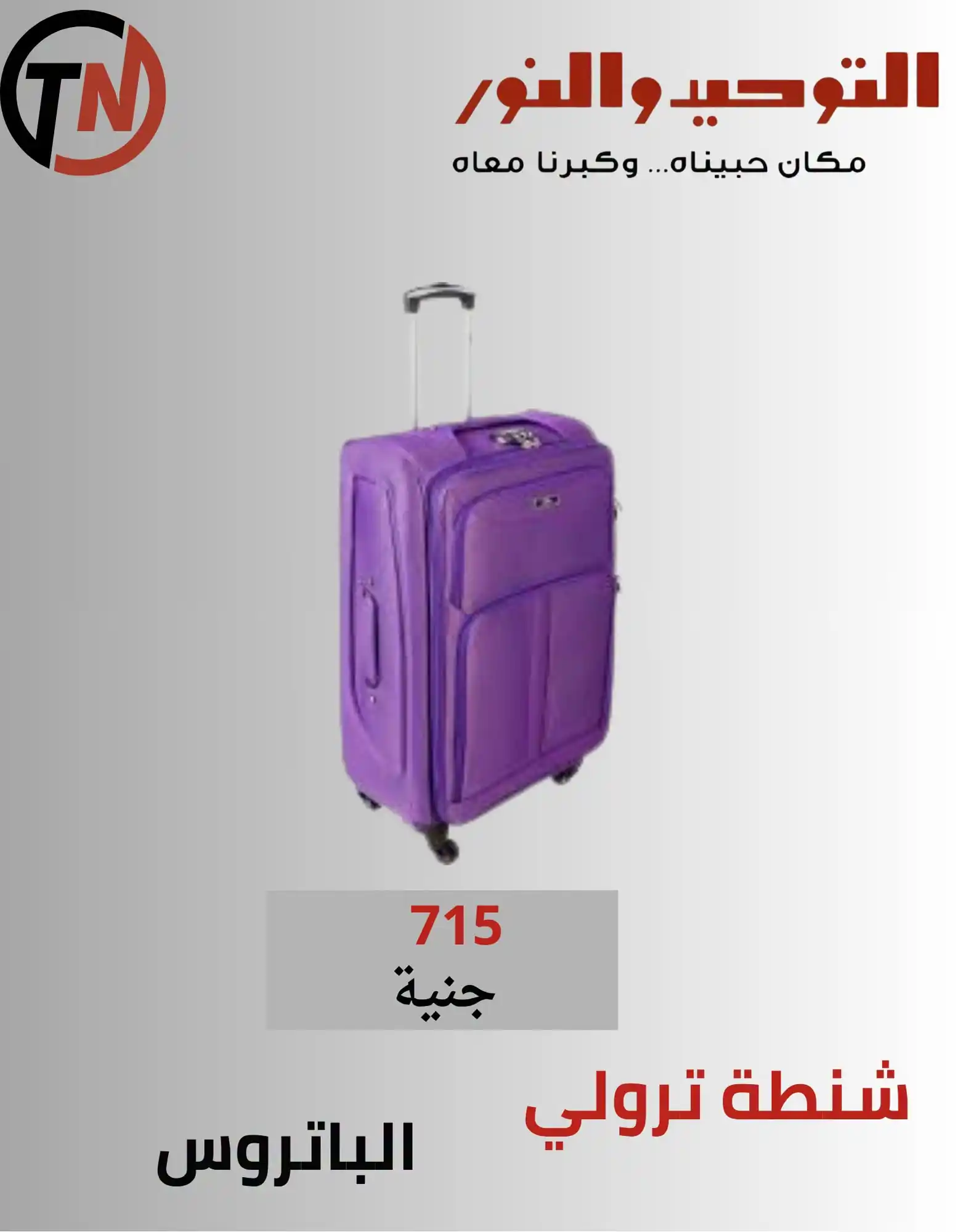 عروض التوحيد والنور اليوم صفحة 13