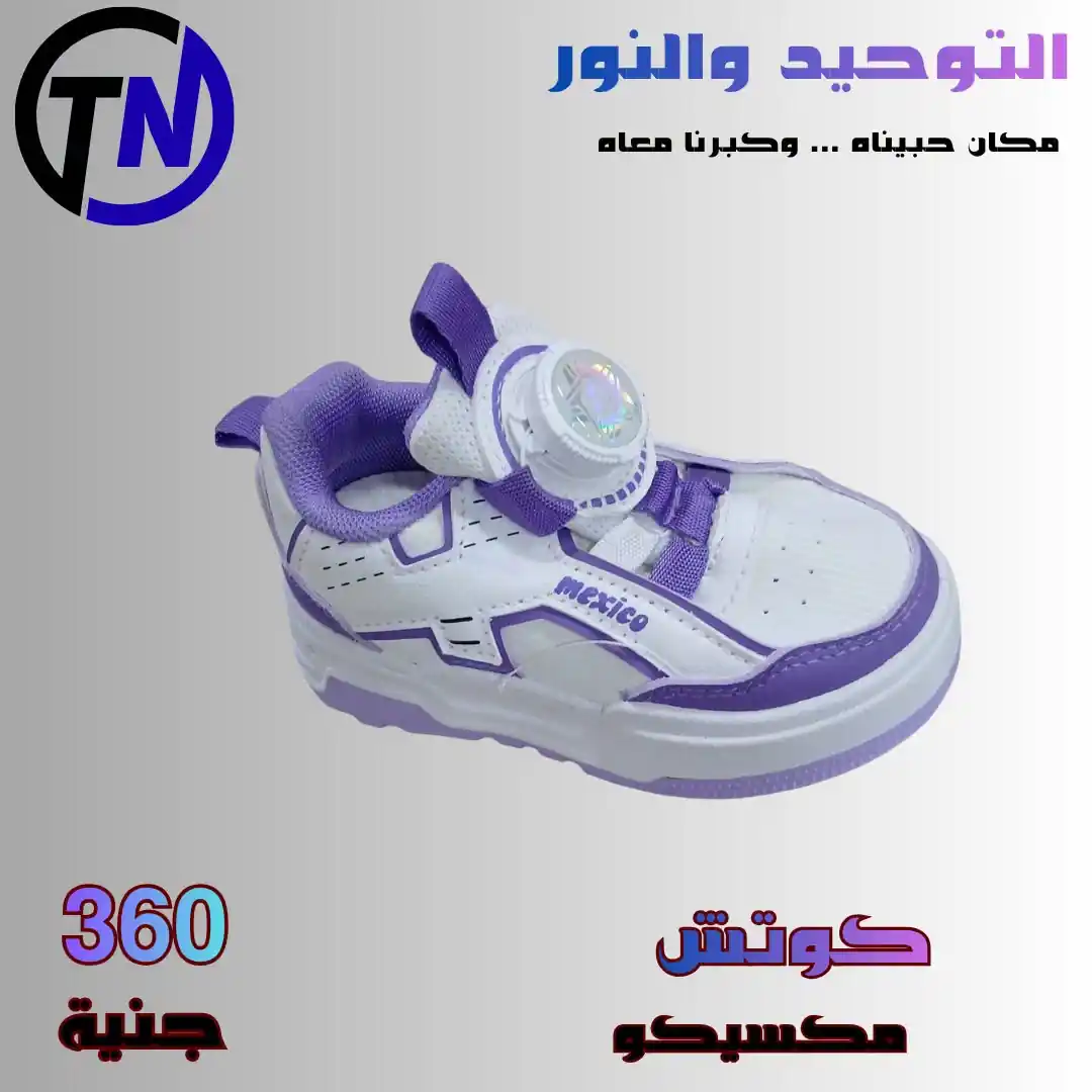 عروض التوحيد والنور اليوم صفحة 13
