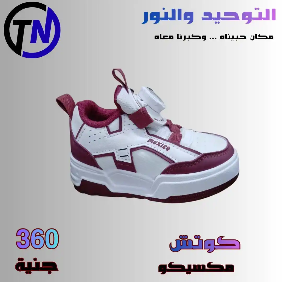 عروض التوحيد والنور اليوم صفحة 14