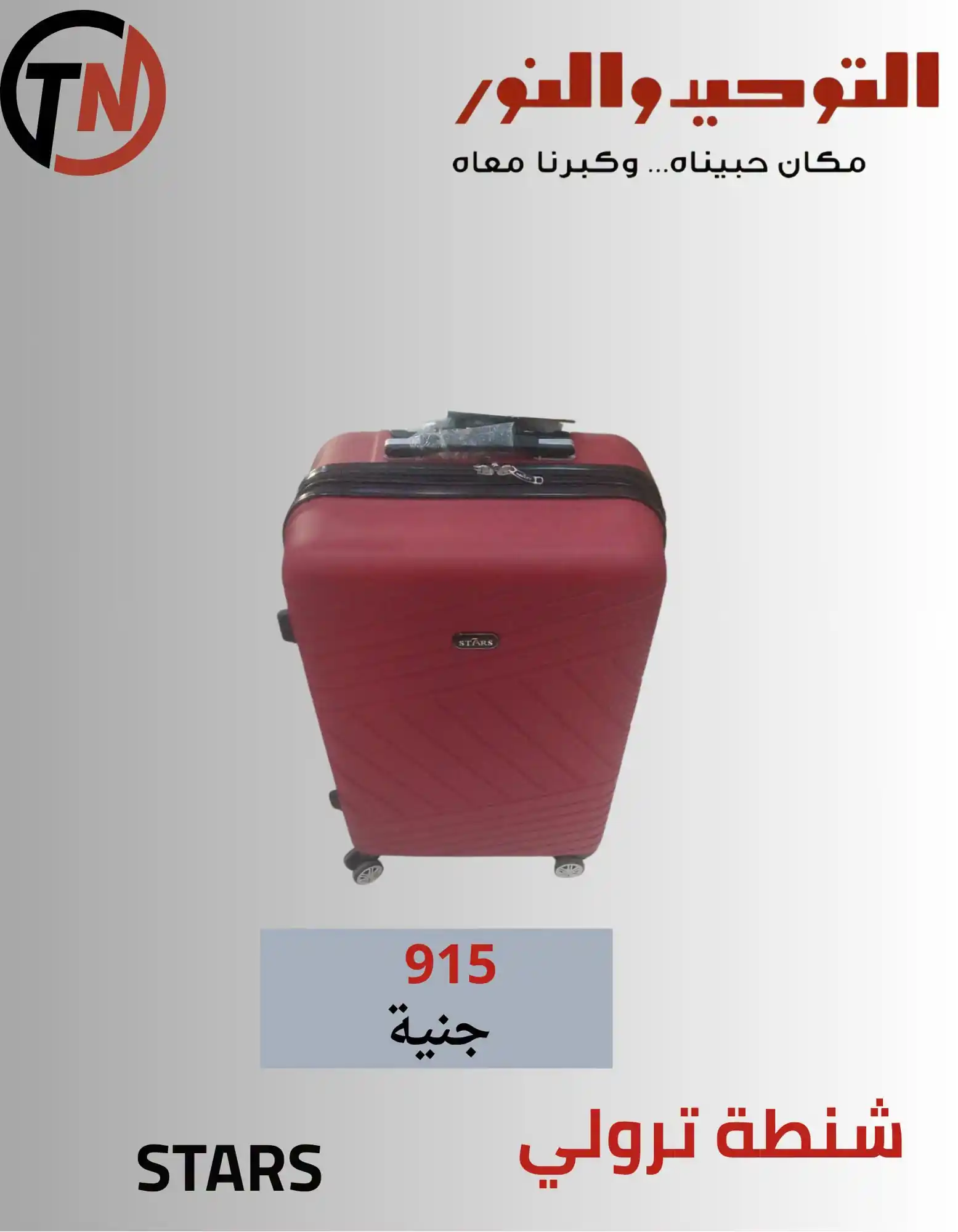 عروض التوحيد والنور اليوم صفحة 15