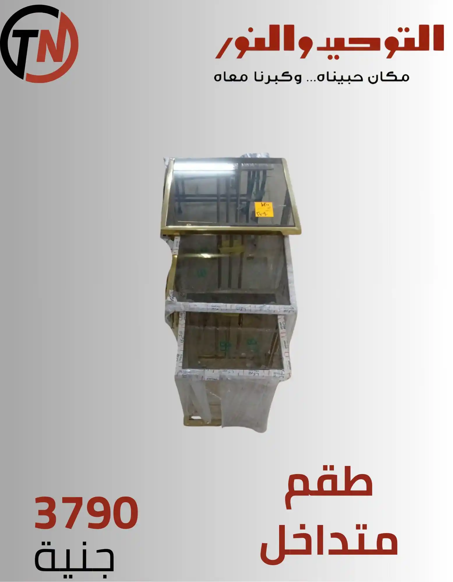 عروض التوحيد والنور اليوم صفحة 17