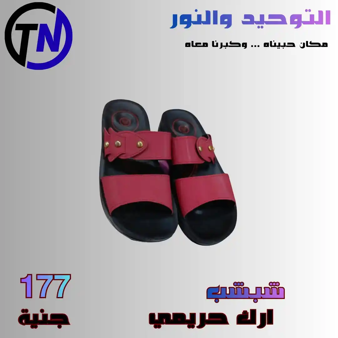 عروض التوحيد والنور اليوم صفحة 17
