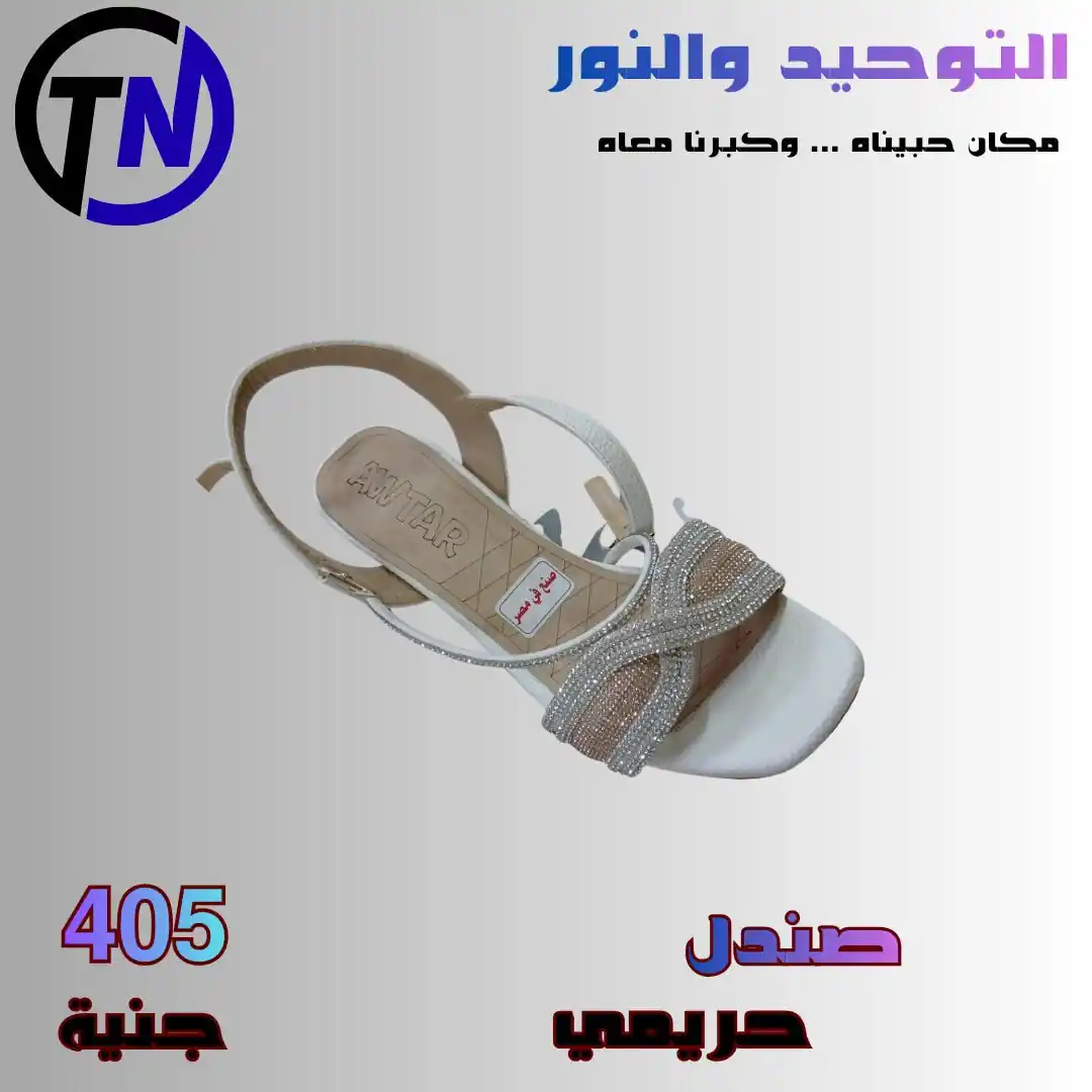 عروض التوحيد والنور اليوم صفحة 19