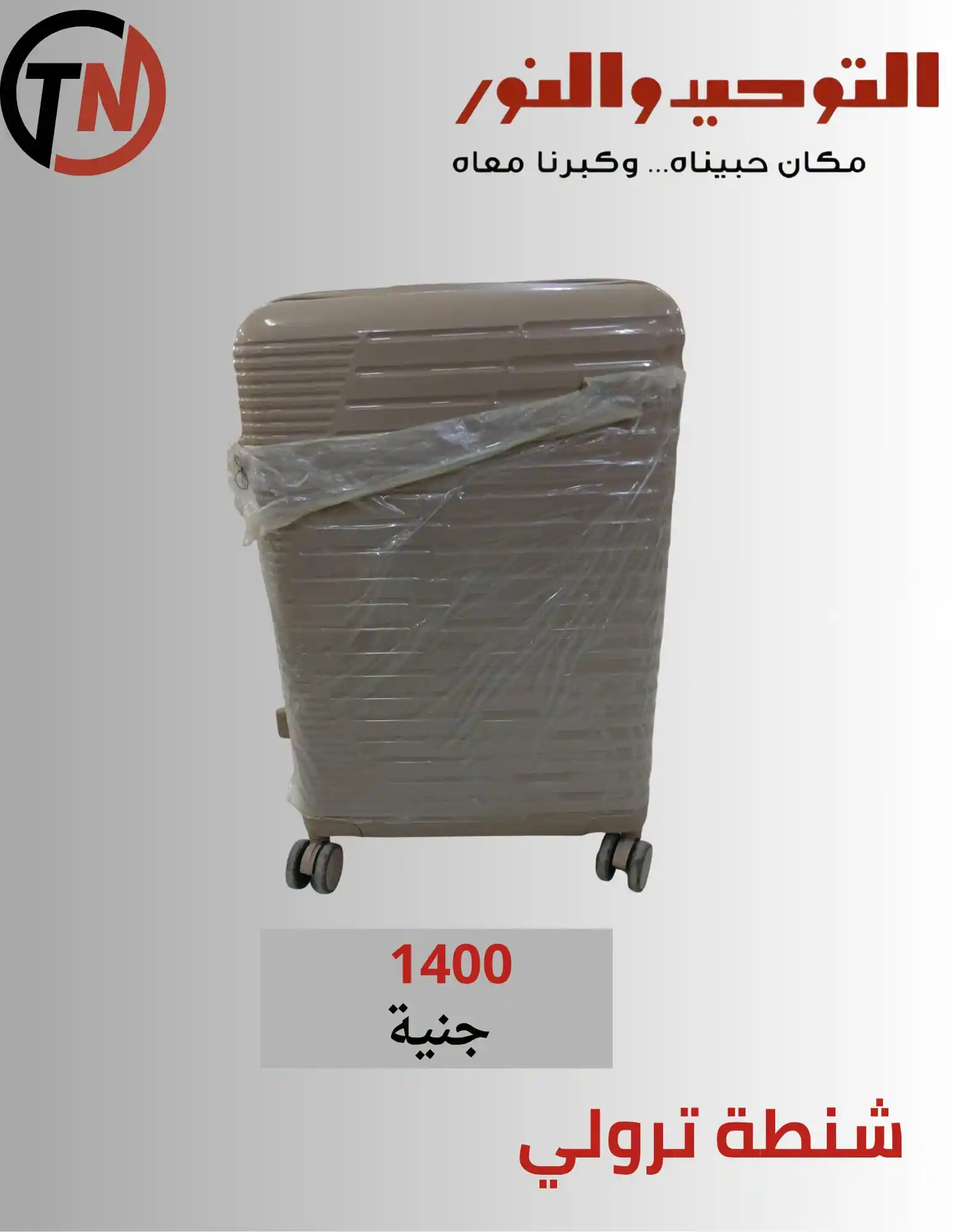 عروض التوحيد والنور اليوم صفحة 26