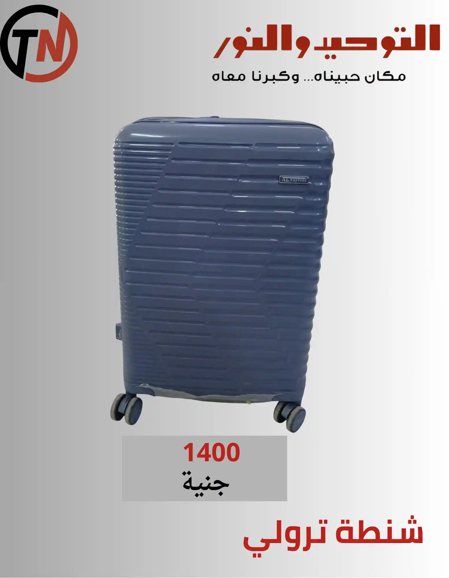 عروض التوحيد والنور اليوم صفحة 27