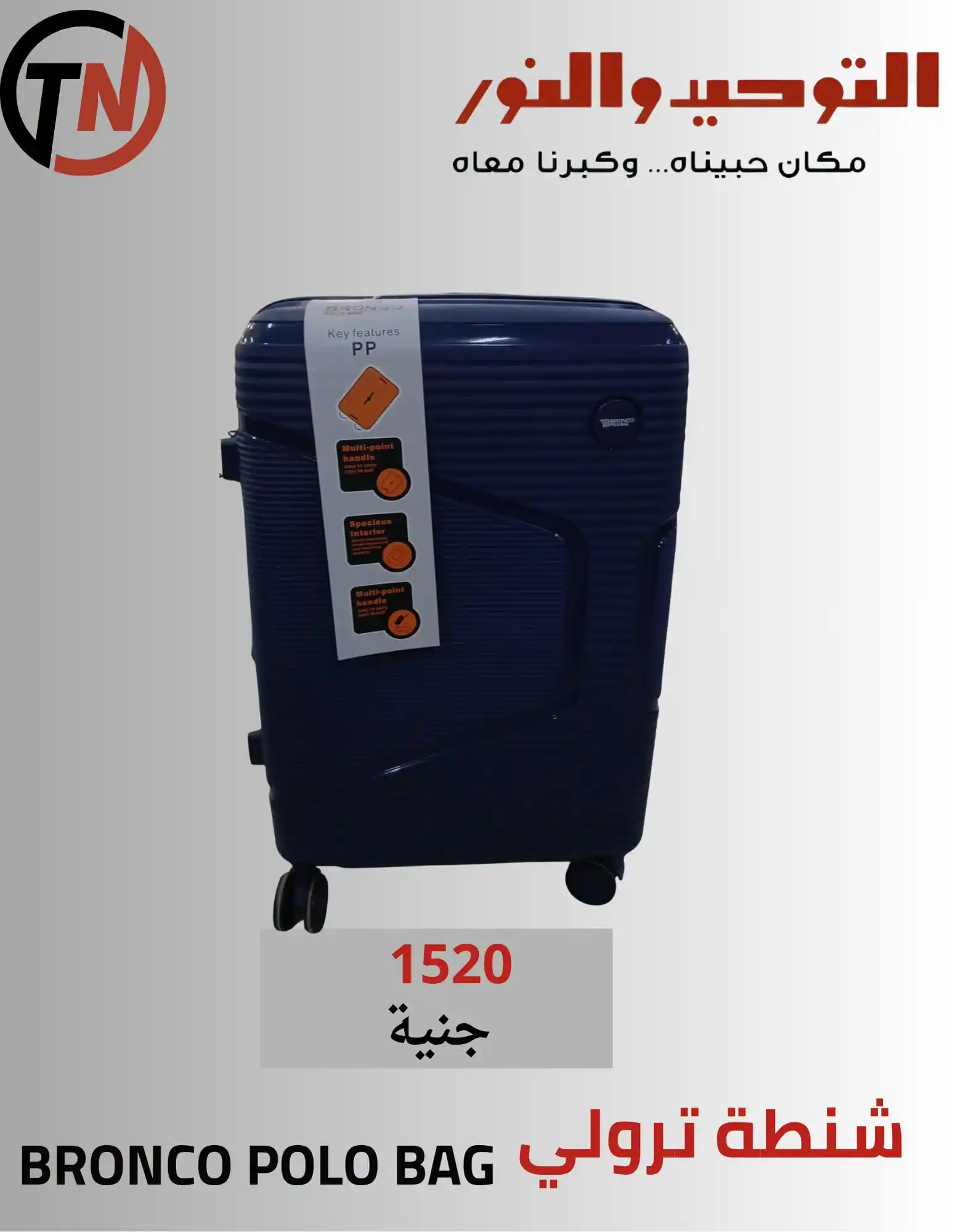 عروض التوحيد والنور اليوم صفحة 28