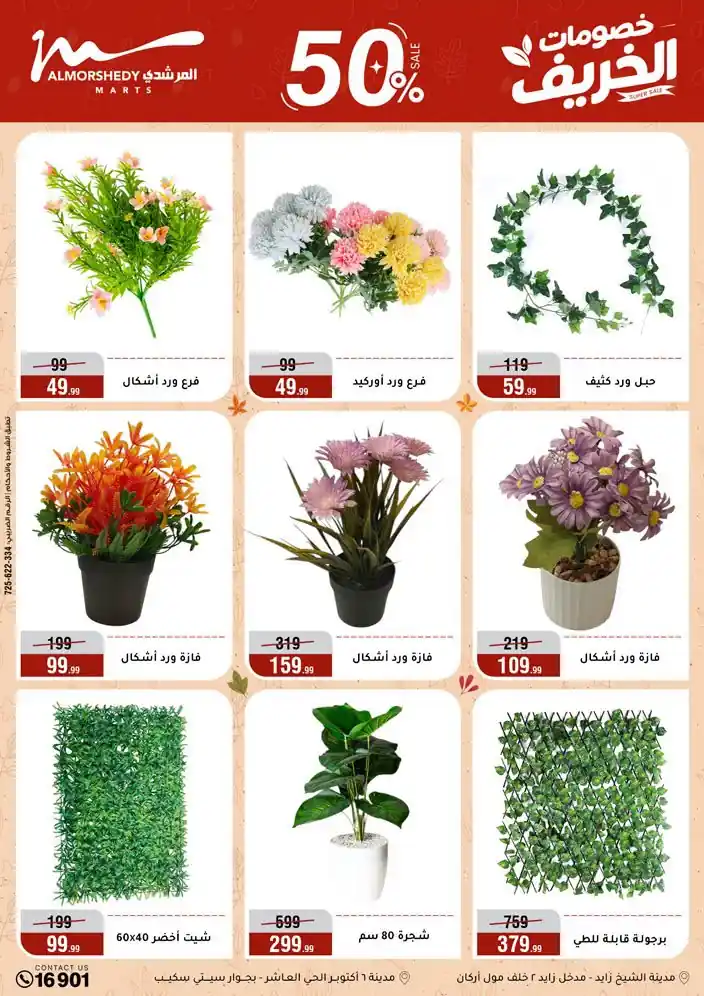 عروض المرشدى اليوم صفحة 55