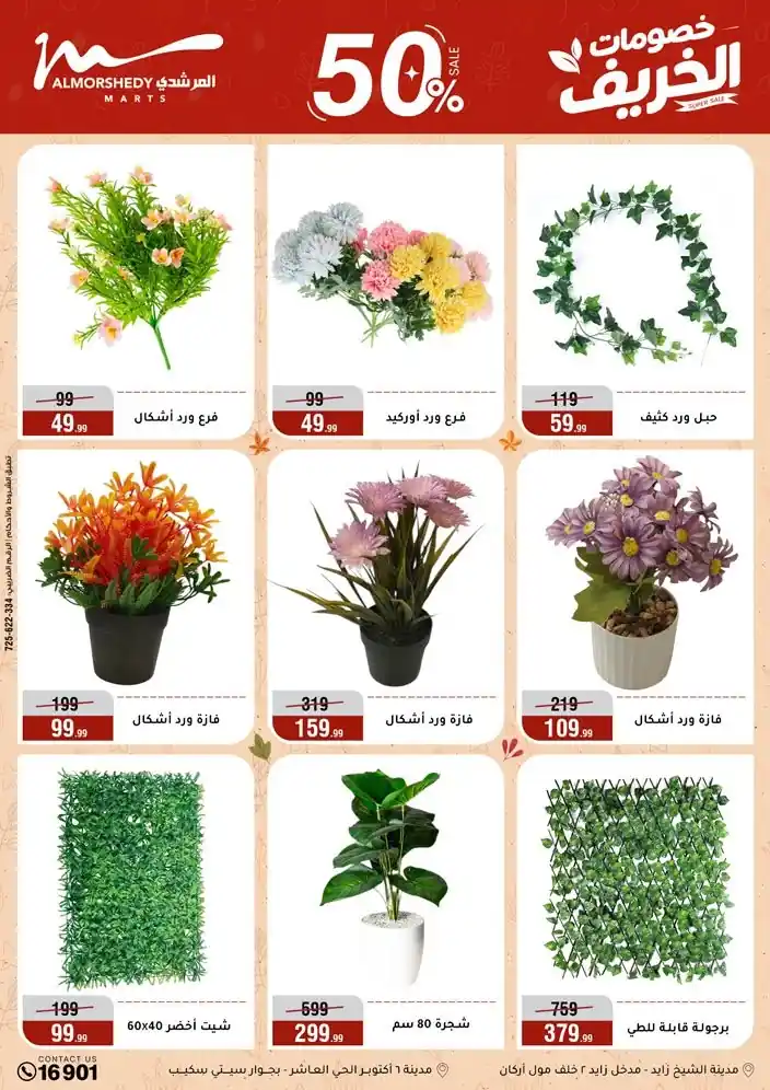 عروض المرشدى اليوم صفحة 57