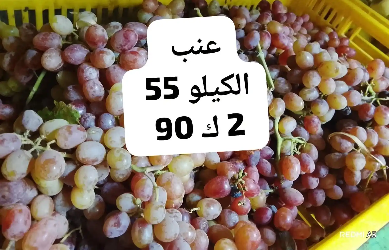 عروض اسواق مصر المنيا من 5 أكتوبر 2026 خضار و فاكهة