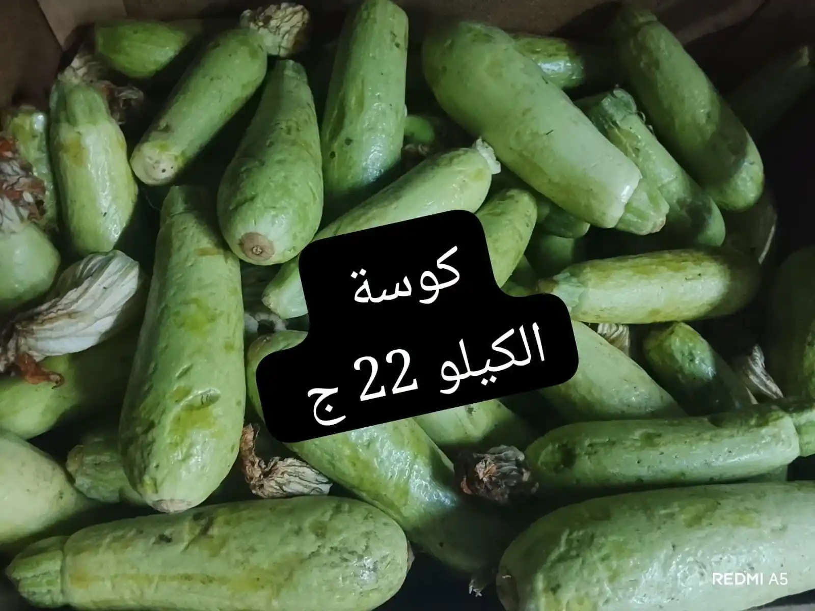 عروض اسواق مصر المنيا من 15 أكتوبر 2026 الخضار و الفاكهة