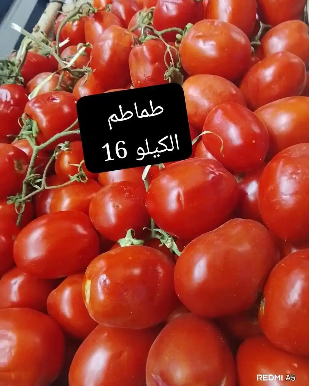 عروض اسواق مصر المنيا من 21 أكتوبر 2026 الخضراوات و الفاكهة