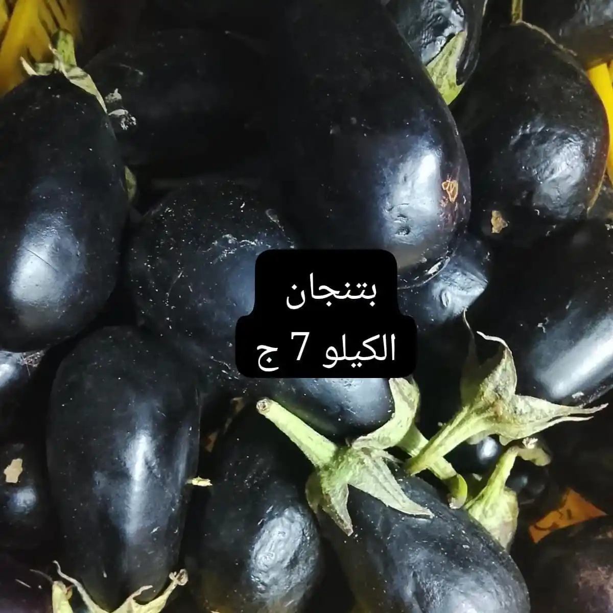 عروض اسواق مصر الصفحة رقم 2